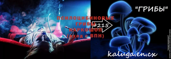 индика Бородино