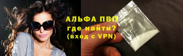 индика Бородино