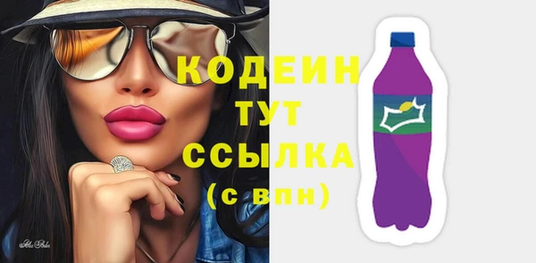 индика Бородино