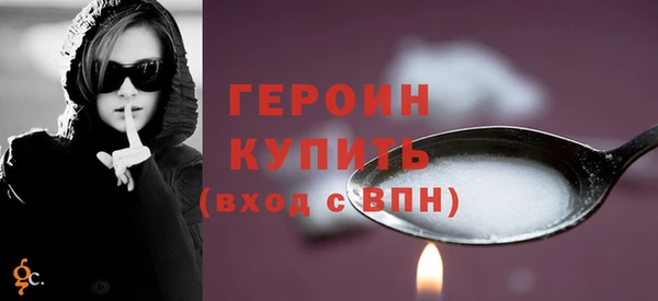 индика Бородино