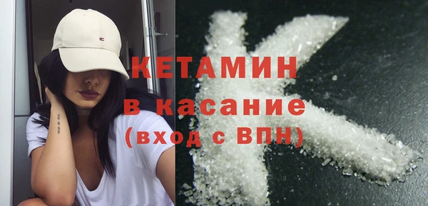 индика Бородино