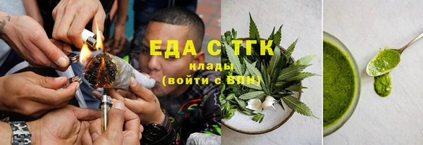 индика Бородино