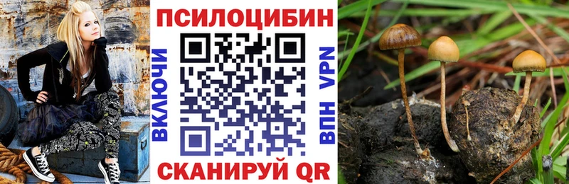 OMG рабочий сайт Зима Псилоцибиновые грибы GOLDEN TEACHER купить закладку
